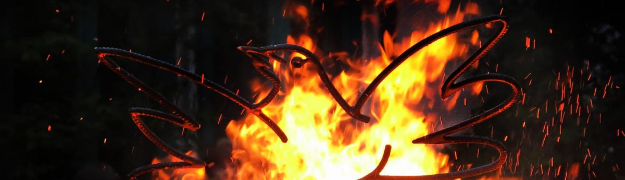 Slideshow-Bild